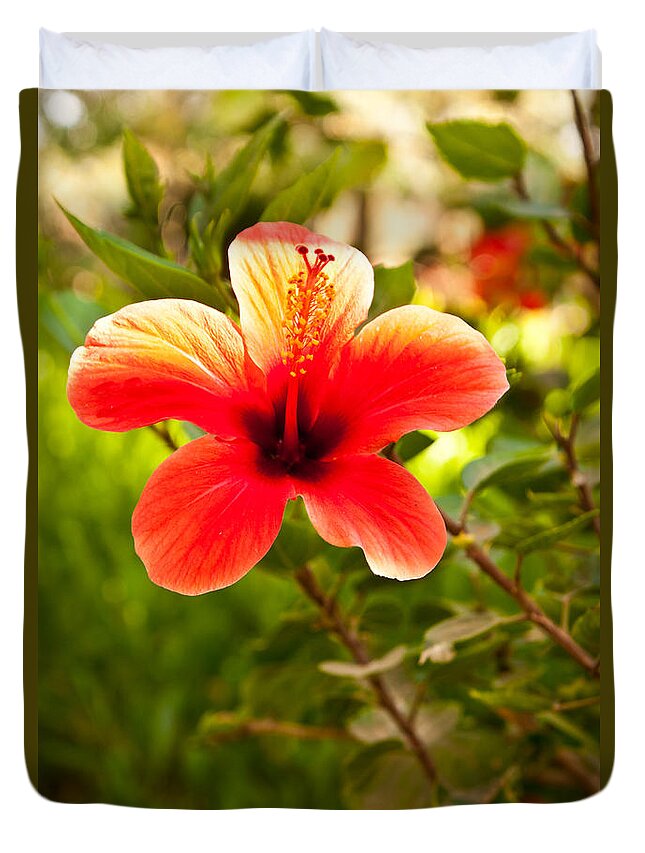  Duvet Cover featuring the photograph Red Flower by James Gay