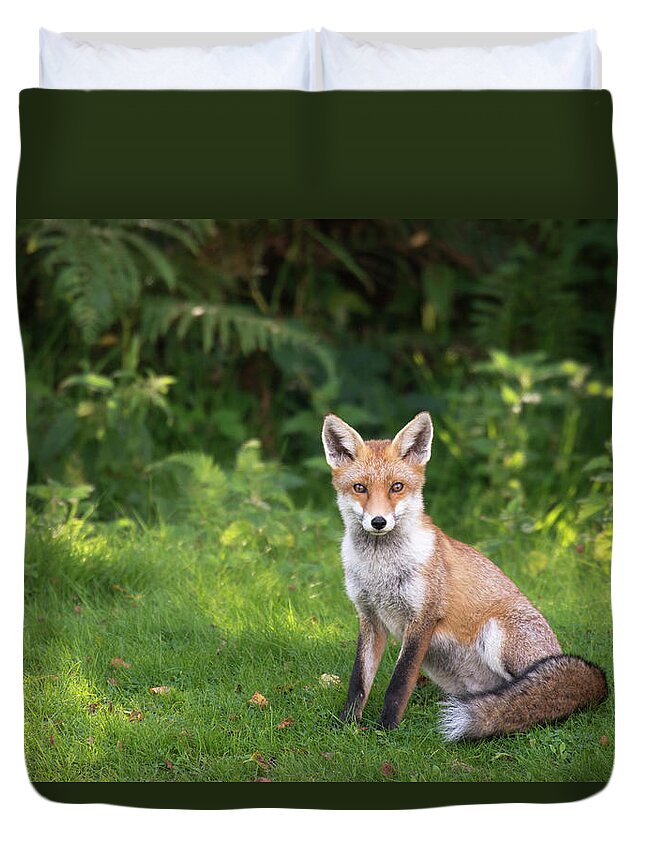 Conspiracy Duvet Cover featuring the photograph Red Fox At Edge Of Forest by James Warwick