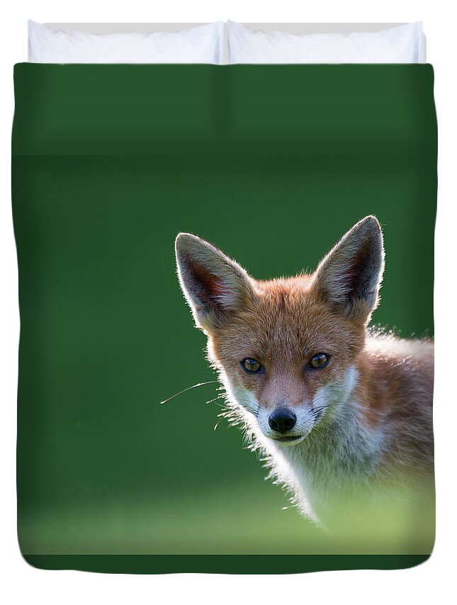 Conspiracy Duvet Cover featuring the photograph Red Fox Cub Portrait by James Warwick