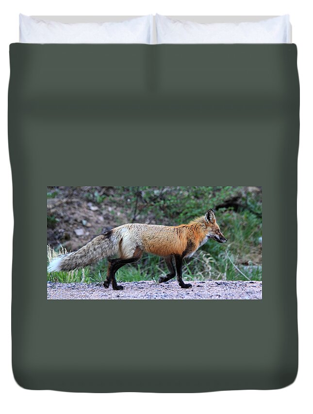 Red Fox Duvet Cover featuring the photograph Red Fox by Shane Bechler