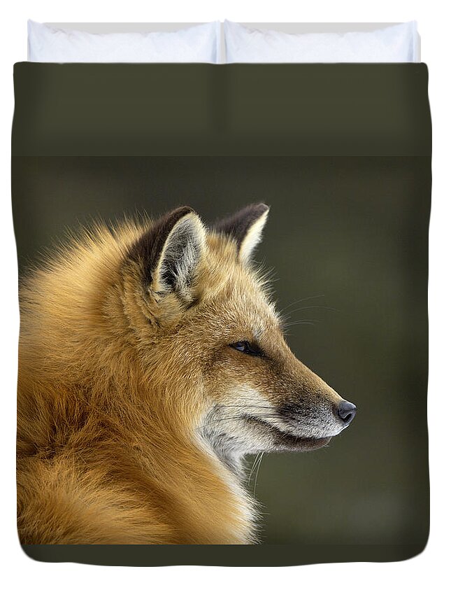 Flpa Duvet Cover featuring the photograph Sly Red Fox by Malcolm Schuyl