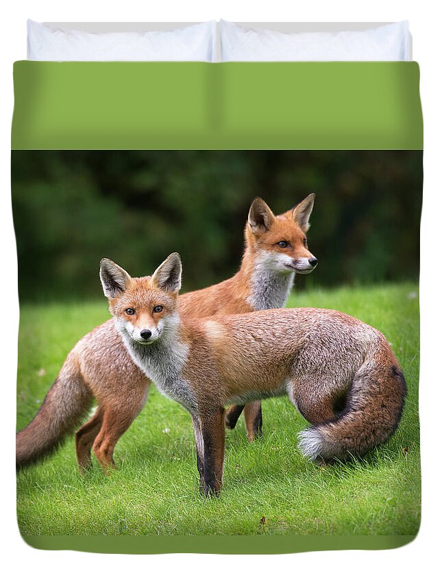 Conspiracy Duvet Cover featuring the photograph Red Foxes by James Warwick