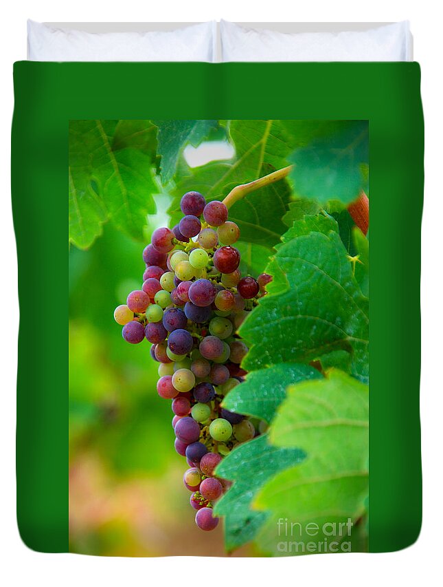 Bordeaux Duvet Cover featuring the photograph Red Grapes by Hannes Cmarits