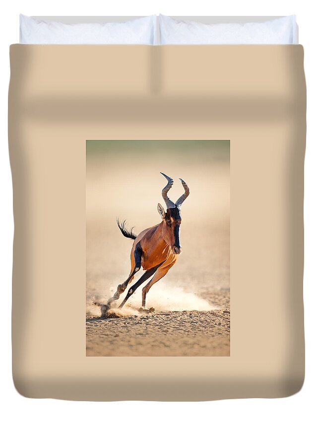 Hartebeest Duvet Cover featuring the photograph Red hartebeest running by Johan Swanepoel