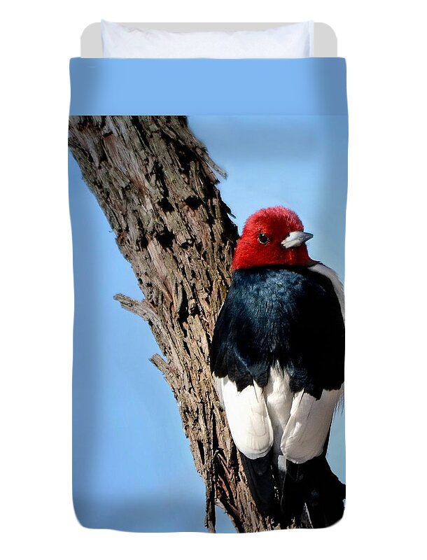 Nature Duvet Cover featuring the photograph Red-headed Woodpecker by Nava Thompson