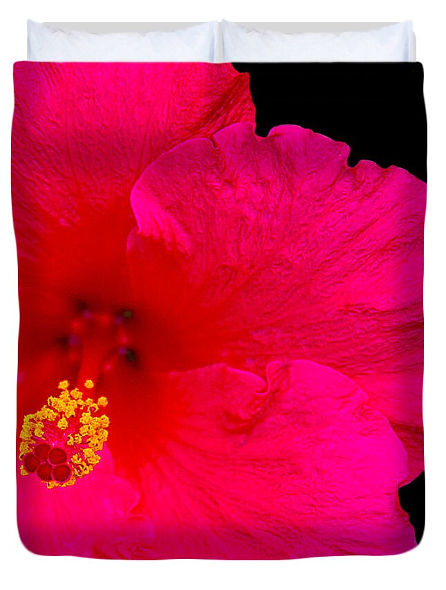 Flower Duvet Cover featuring the photograph Red Hibiscus by Andre Aleksis
