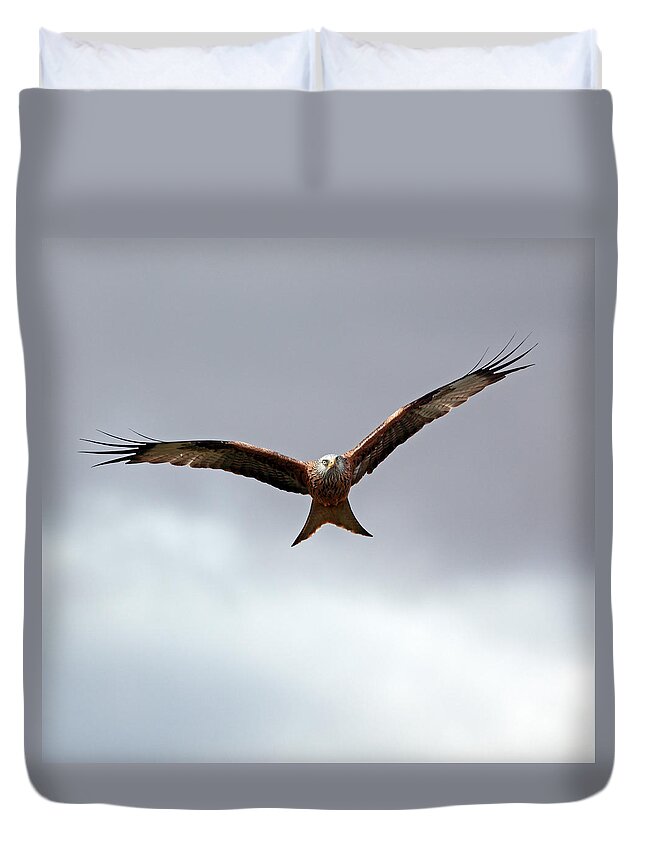 Bird Duvet Cover featuring the photograph Red Kite in flight by Grant Glendinning