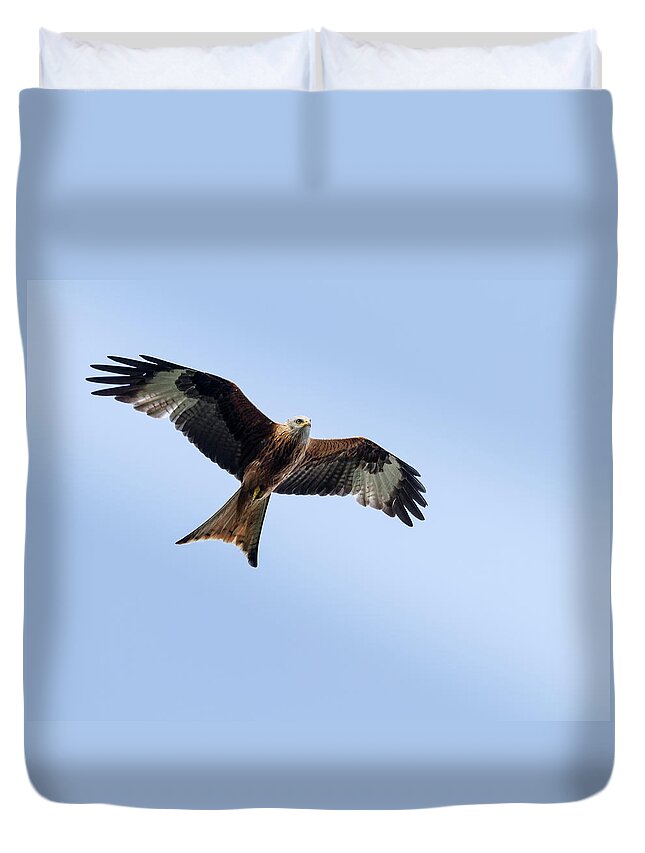Animal Themes Duvet Cover featuring the photograph Red Kite In Flight by Ian Gethings