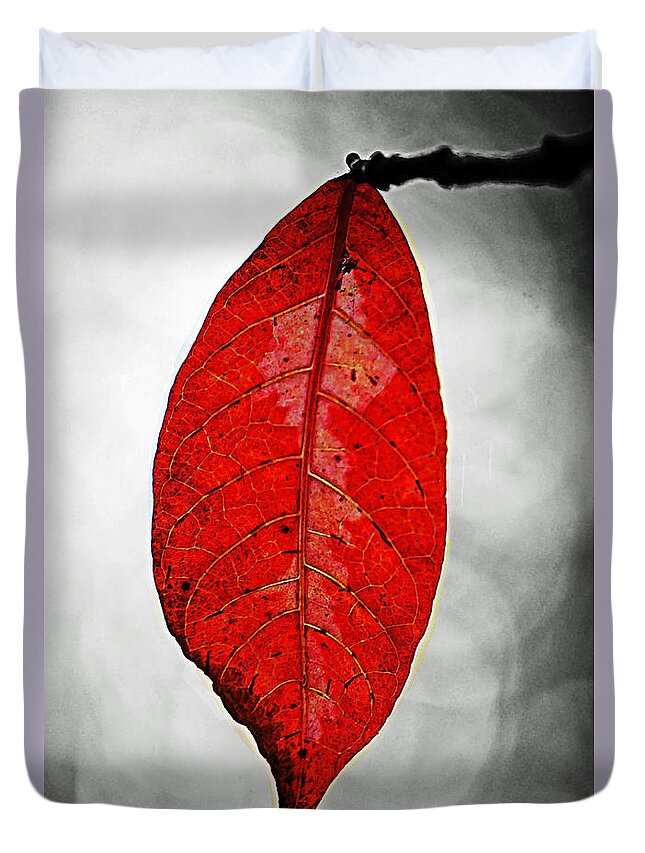 Red Duvet Cover featuring the photograph Red Leaf by Ben Yassa