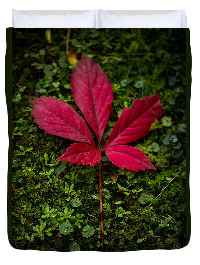 Red Duvet Cover featuring the photograph Red Leaf by Shane Holsclaw