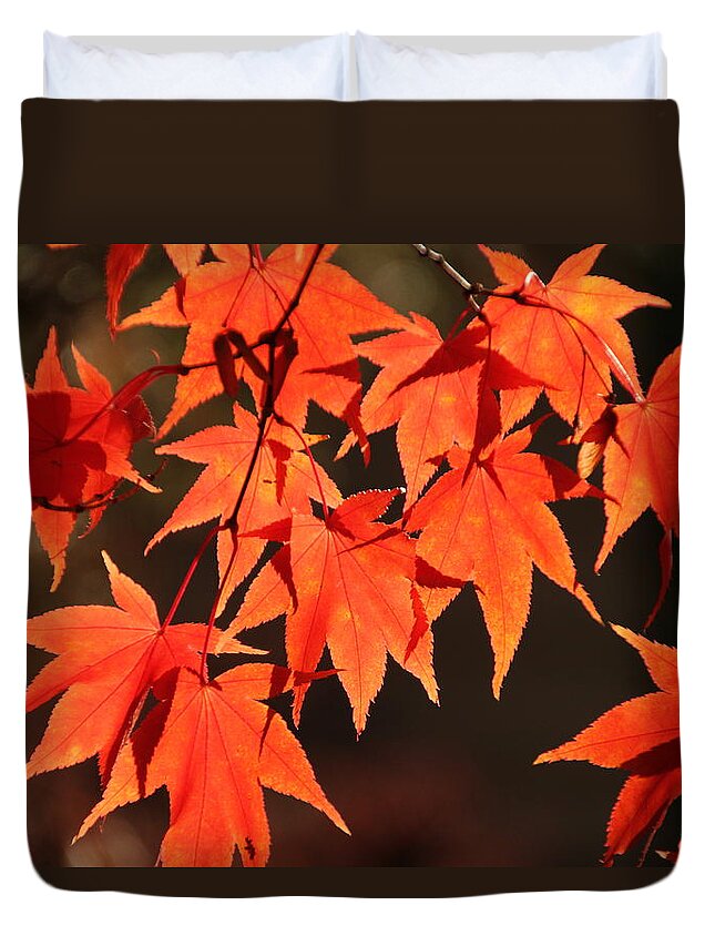 Japanese Maple Tree Duvet Cover featuring the photograph Japanese Maple Leaves in Fall by Valerie Collins