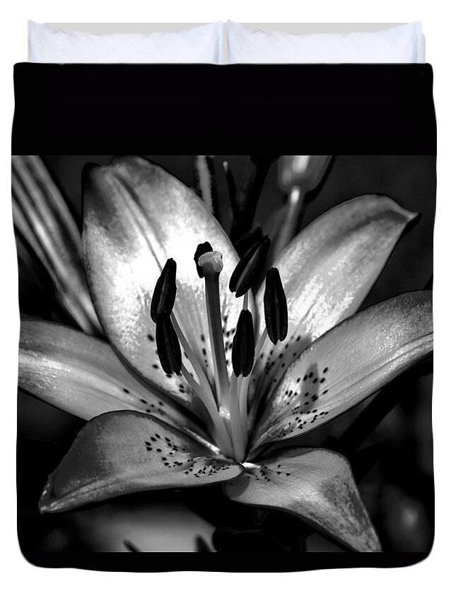 Lily Bloom Duvet Cover featuring the photograph Red Magic Daylily-HDR Art BW by Lesa Fine