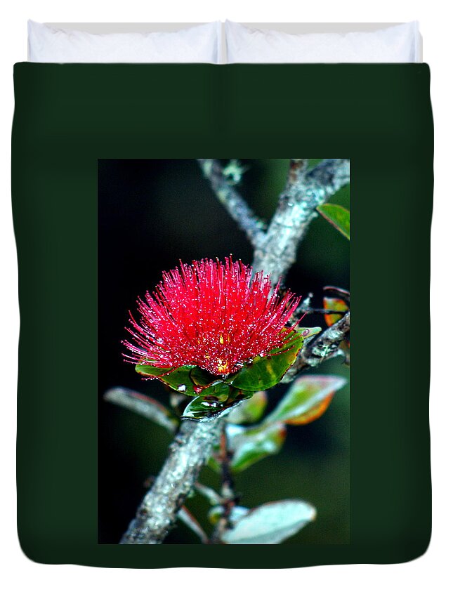 Made In America Duvet Cover featuring the photograph Red Ohia lehua in Volcano rainforest mist by Lehua Pekelo-Stearns