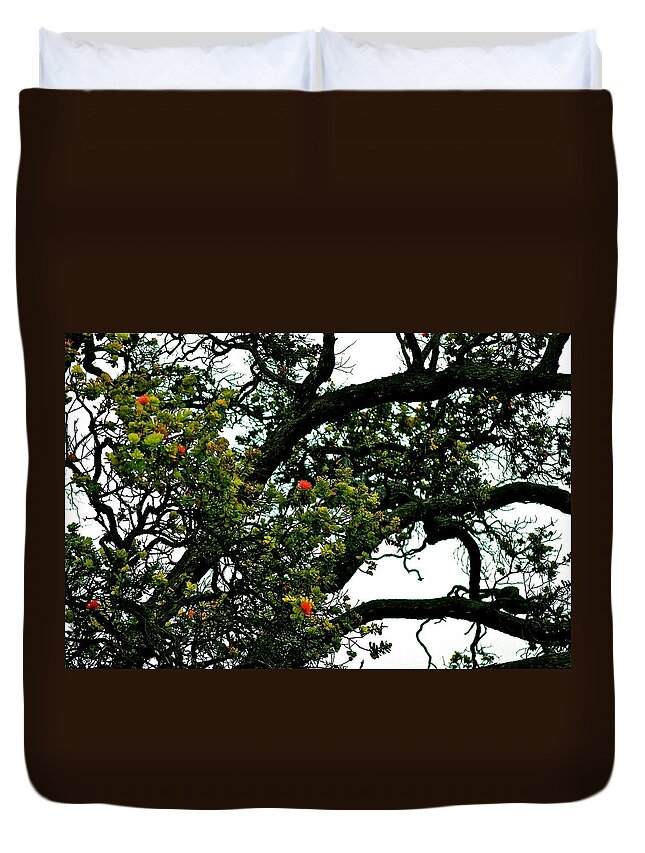 Hawaii Duvet Cover featuring the photograph Red Ohia Lehua Tree by Lehua Pekelo-Stearns