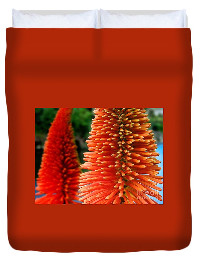 Spring Duvet Cover featuring the photograph Red-orange flower of Eremurus Ruiter-Hybride by Jola Martysz