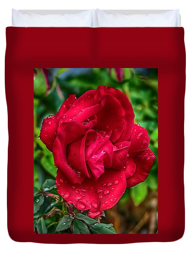 Rose Duvet Cover featuring the photograph Red Red Rose by John Haldane