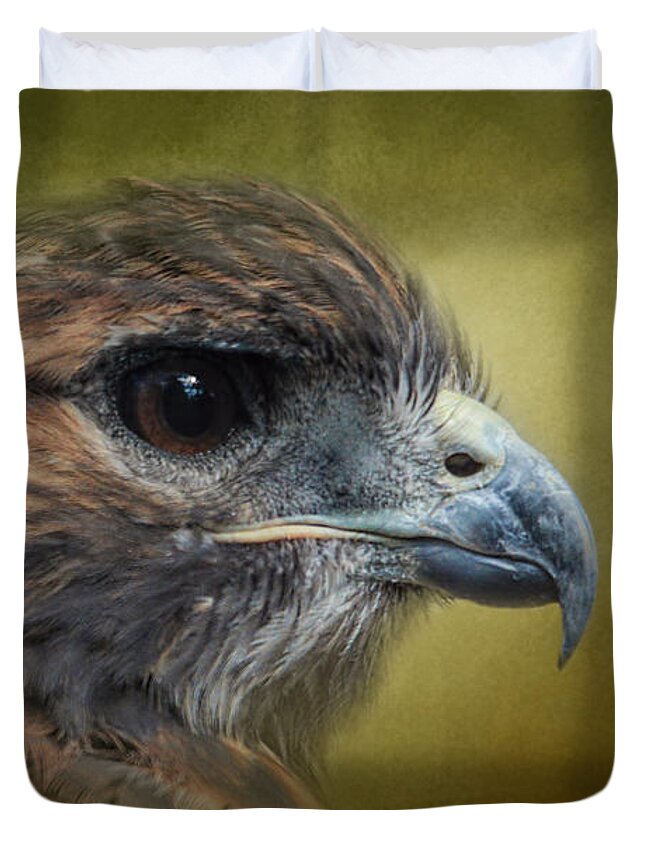 Jai Johnson Duvet Cover featuring the photograph Red Tailed Hawk at Reelfoot by Jai Johnson