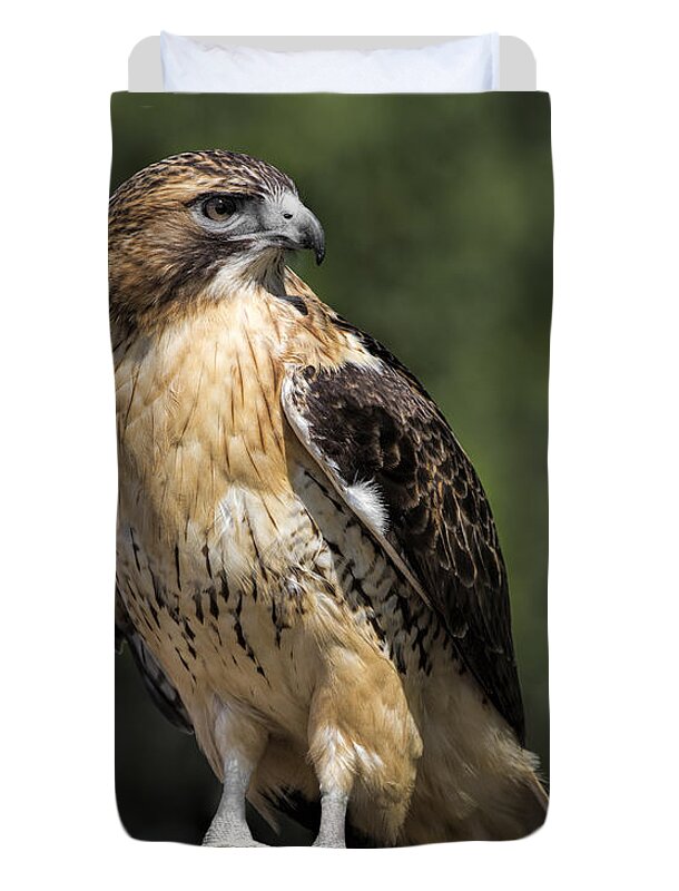 Red Tailed Hawk Duvet Cover featuring the photograph Red Tailed Hawk by Dale Kincaid