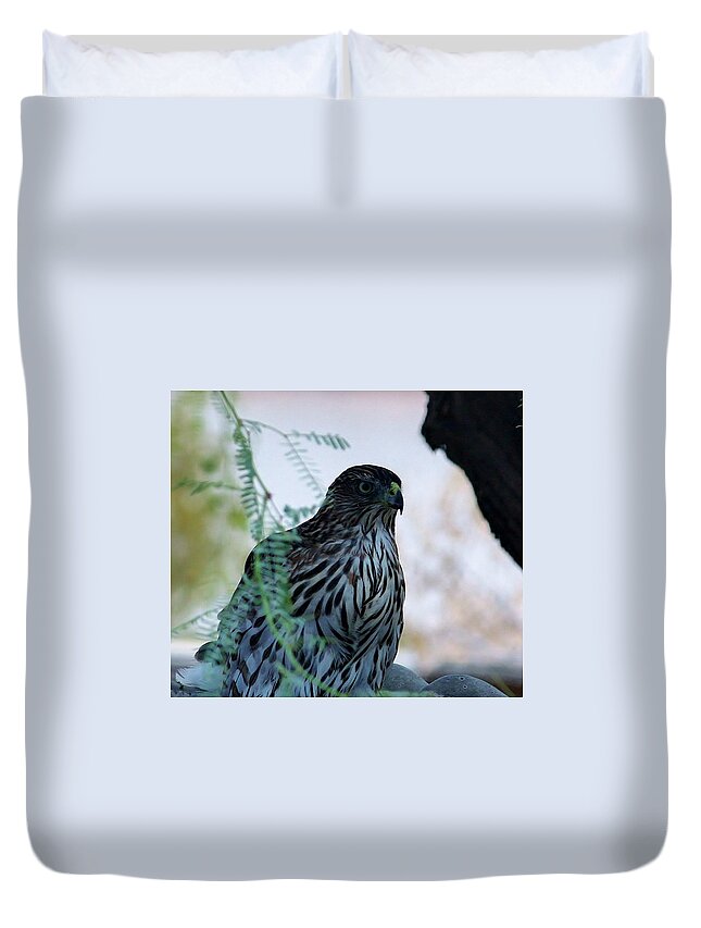 Bird Duvet Cover featuring the photograph Red tailed Hawk by Marcia Breznay