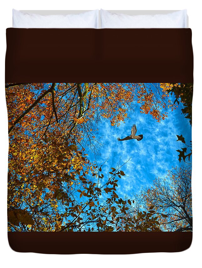 Red-tailed Hawk Duvet Cover featuring the photograph Red-tailed Hawk by Sandi OReilly