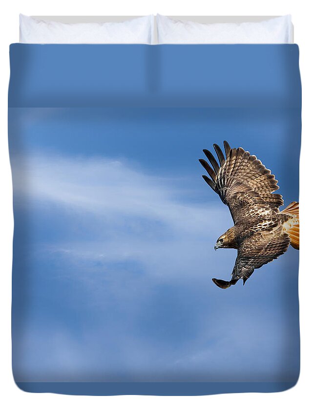Redtail Hawk Duvet Cover featuring the photograph Red Tailed Hawk Soaring by Bill Wakeley