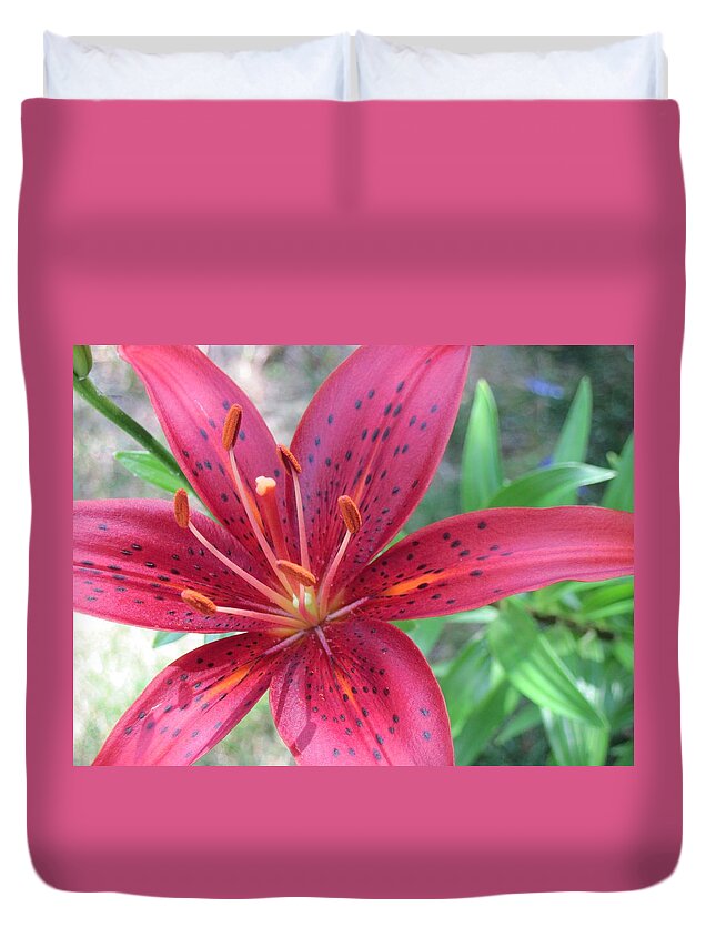 Red Lily Duvet Cover featuring the photograph Red Tiger Lily Close-Up 6 by Doug Morgan