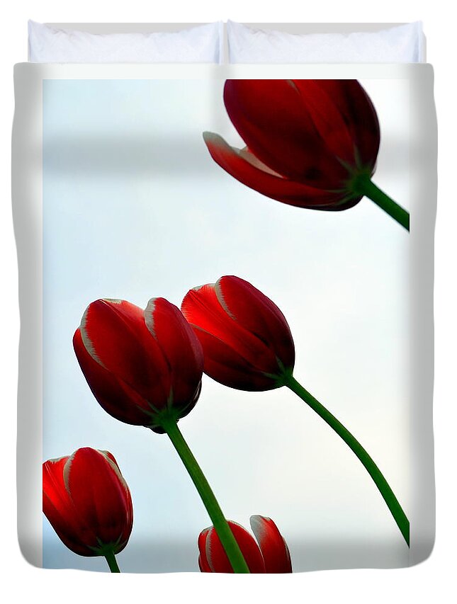 Photograph Duvet Cover featuring the photograph Red Tulips from the Bottom Up VII by Michelle Calkins