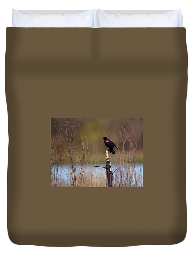 Red Winged Blackbird Duvet Cover featuring the digital art Red Winged Blackbird 2 by Ernest Echols