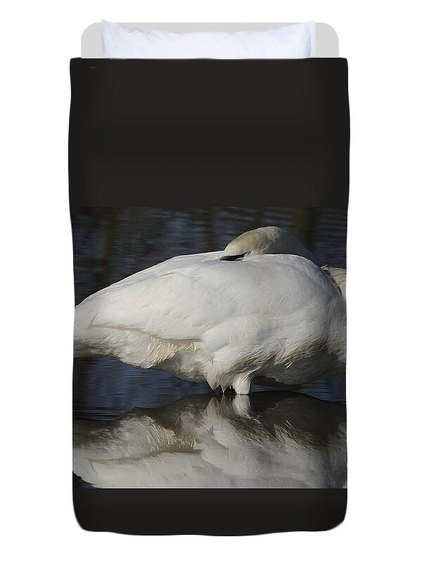 Swan Duvet Cover featuring the photograph Reflect by Randy Bodkins
