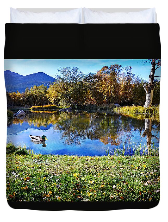Pond Duvet Cover featuring the photograph Reflections at the Duck Pond by Lynn Bauer
