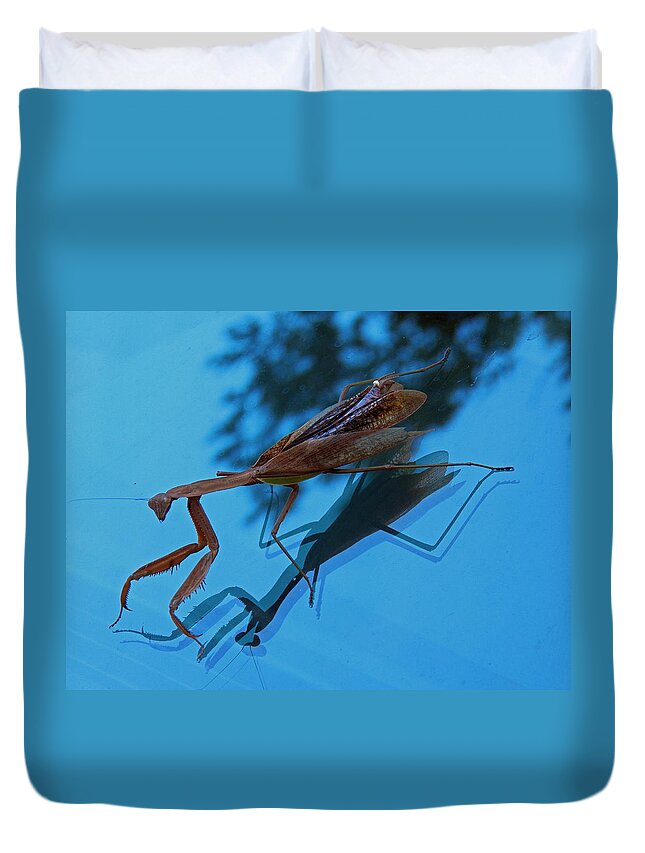 Insects Duvet Cover featuring the photograph Reflections of a Mantis by Jennifer Robin