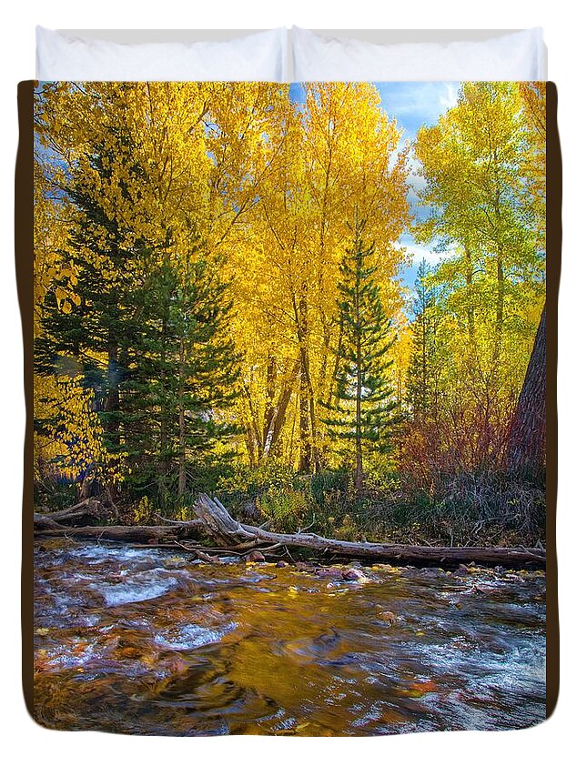 Fall Duvet Cover featuring the photograph Reflections of Gold by Lynn Bauer