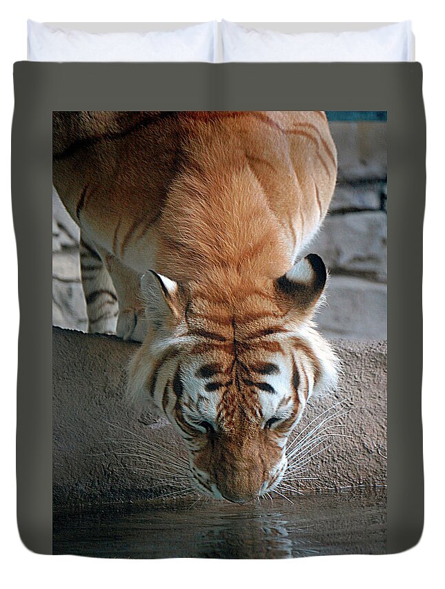 Tiger Duvet Cover featuring the digital art Reflections of the Wild by DigiArt Diaries by Vicky B Fuller