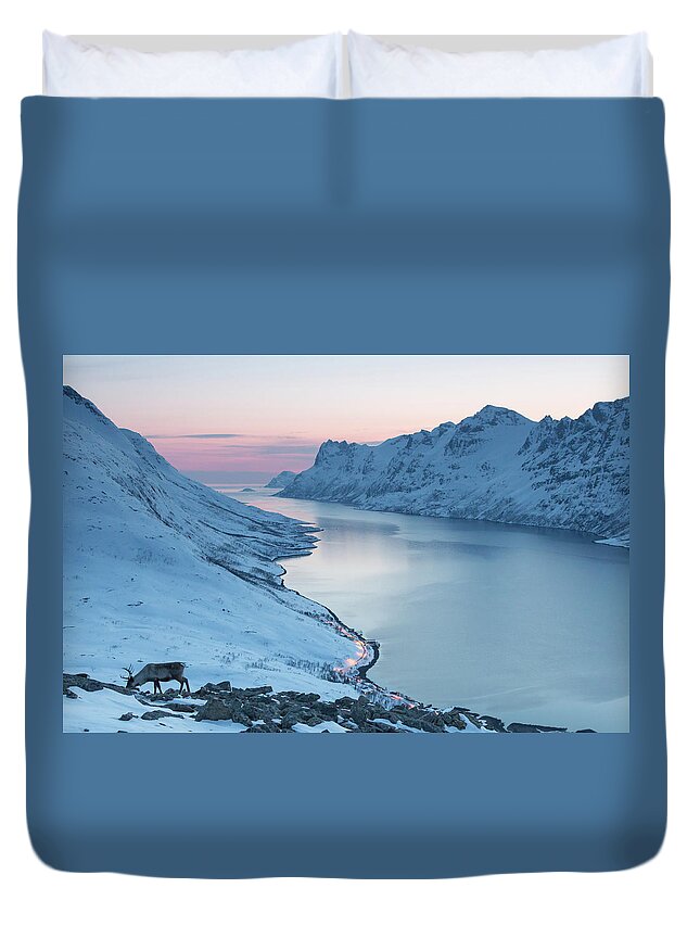 Scenics Duvet Cover featuring the photograph Reindeer At Dusk by Photo By Hanneke Luijting