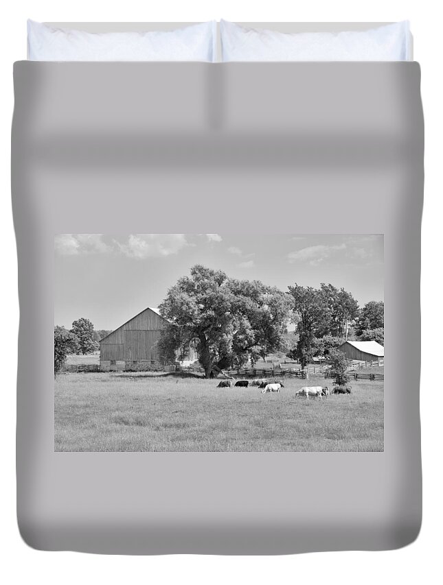 Barn Duvet Cover featuring the photograph Reive Blvd Barn 15059b by Guy Whiteley