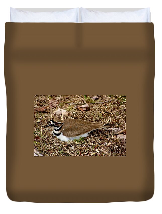 Bird Duvet Cover featuring the photograph Killdeer by Anthony Seeker