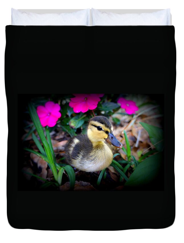 Duck Family Duvet Cover featuring the photograph Reynolds by Laurie Perry
