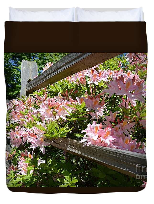 Rhododendron Duvet Cover featuring the photograph Rhododendrons in Tumwater Falls Park by Zaira Dzhaubaeva