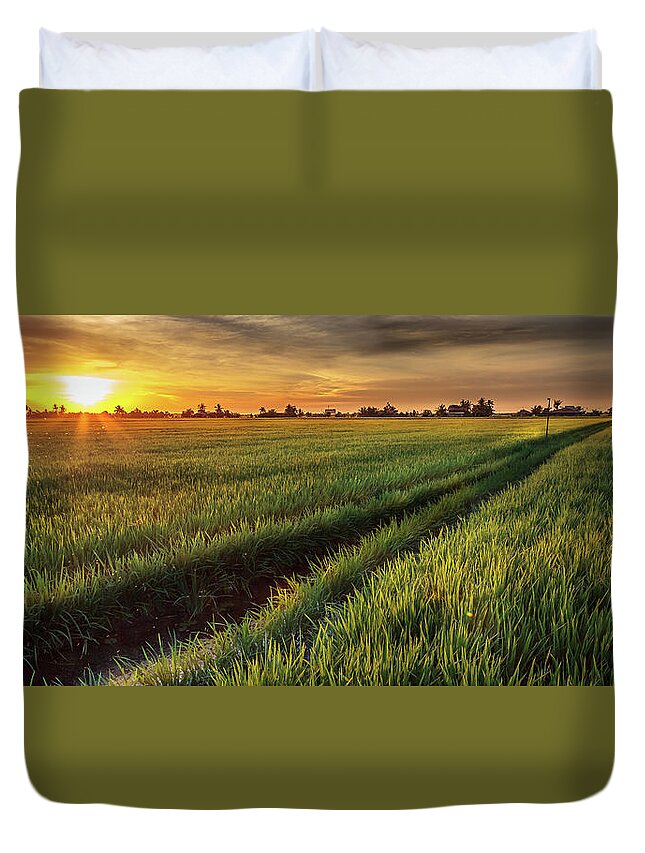 Tranquility Duvet Cover featuring the photograph Rice Production In Thailand by Simonlong
