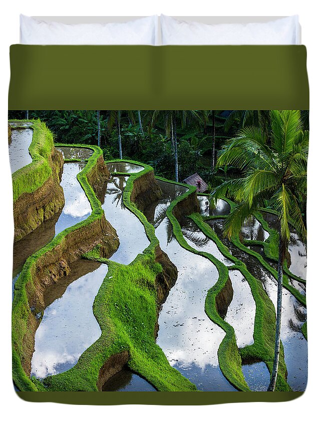 Tranquility Duvet Cover featuring the photograph Rice Terraces In Central Bali Indonesia by Gavriel Jecan