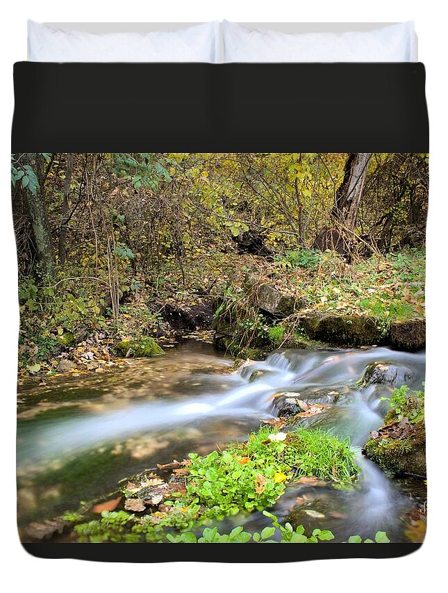 Water Duvet Cover featuring the photograph Richmond Springs by Bonfire Photography
