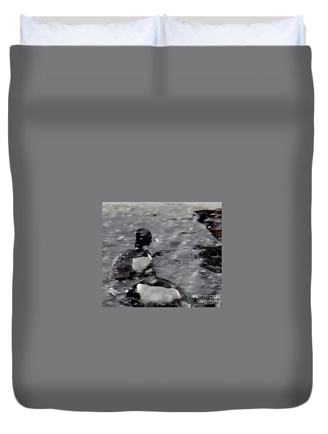 Copyright 2015 By Christopher Plummer Duvet Cover featuring the photograph Ring Neck in the snow by Christopher Plummer