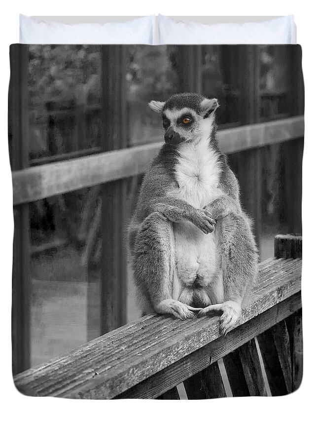 Selective Colour Duvet Cover featuring the photograph Ring Tailed Lemur by Terri Waters