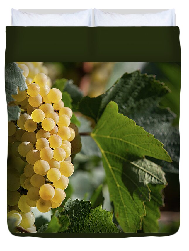 Alcohol Duvet Cover featuring the photograph Ripe Wine Grapes by Tatami skanks