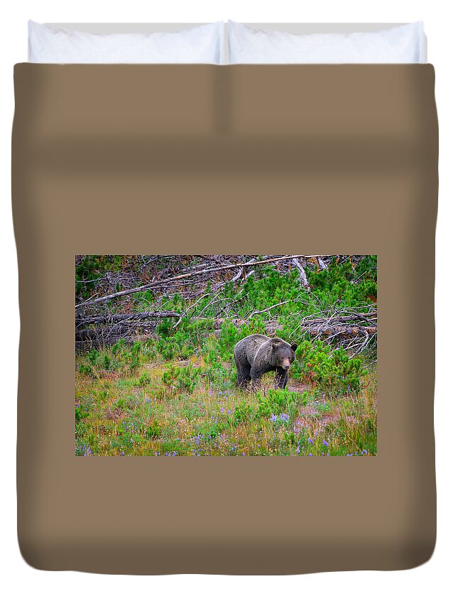 Grizzly Duvet Cover featuring the photograph Rise and Shine by Greg Norrell
