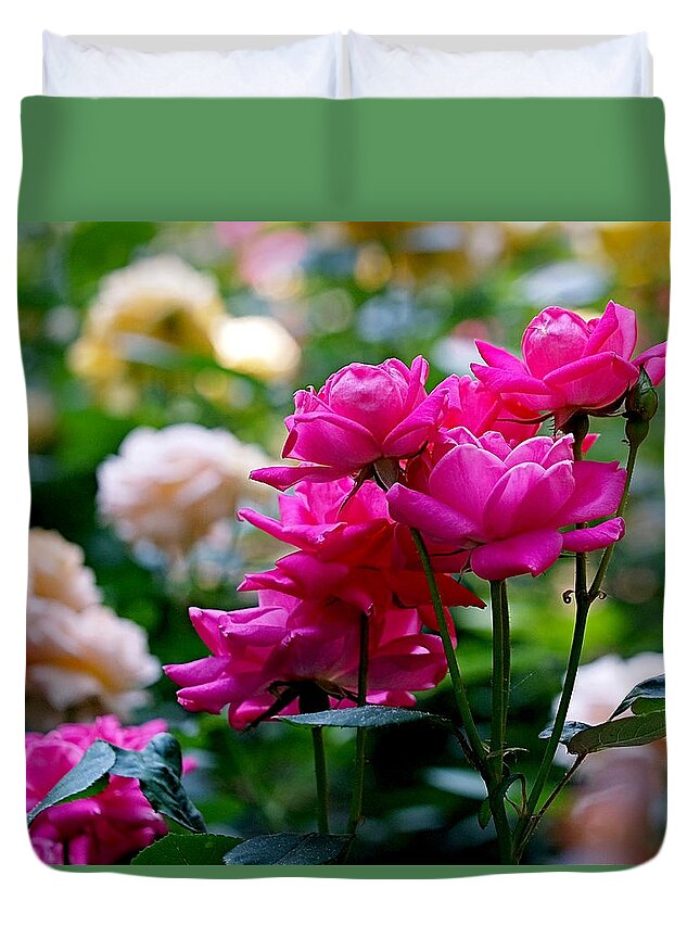 Roses Duvet Cover featuring the photograph Rittenhouse Square Roses by Rona Black
