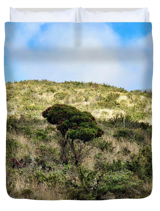 Hawaii Duvet Cover featuring the photograph Road to Haleakala 22 by Dawn Eshelman