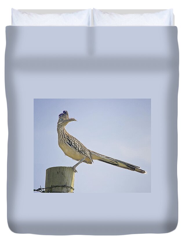 Road Runner Duvet Cover featuring the photograph Roadrunner on Fence Post by Michael Dougherty