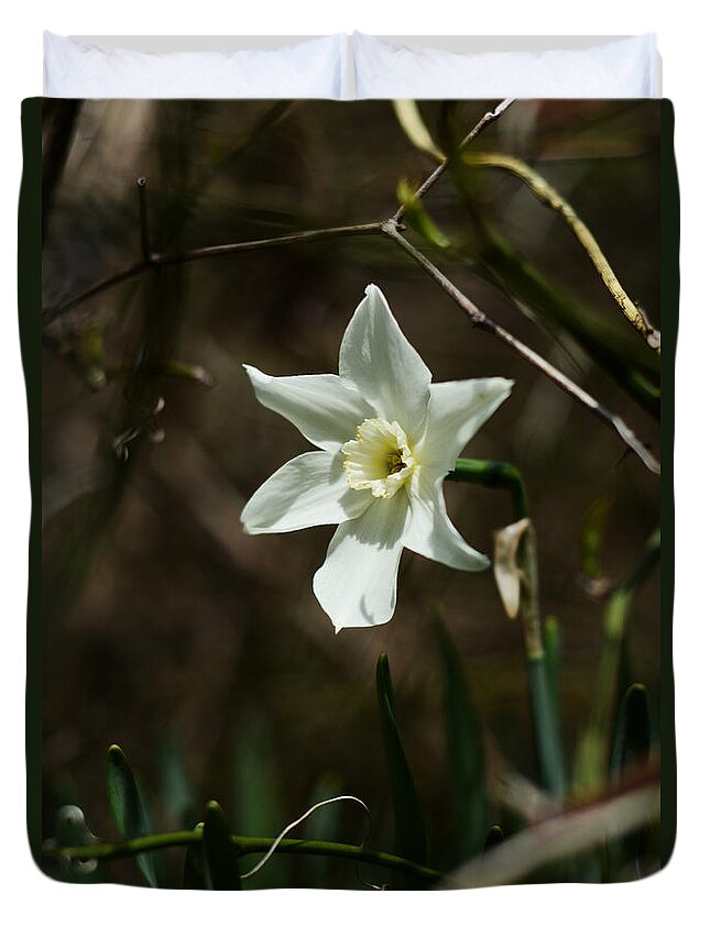 White Narcissus Duvet Cover featuring the photograph Roadside White Narcissus by Rebecca Sherman