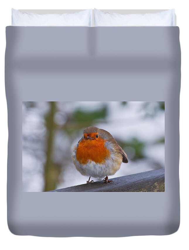 Robin Duvet Cover featuring the photograph Robin 1 by Scott Carruthers